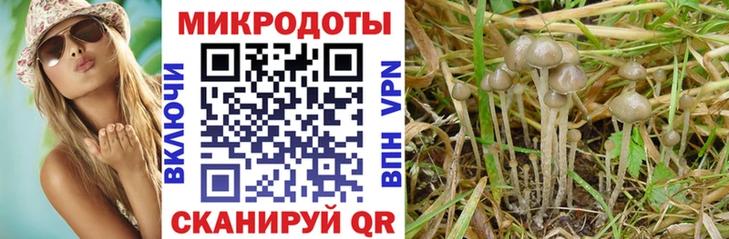 Псилоцибиновые грибы прущие грибы  где купить наркотик  Верещагино 